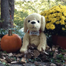 BiscuittheLittleYellowPuppy10Plush1 - Brands For Less USA