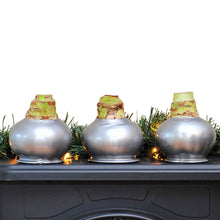 Bloomaker Silver Waxed Amaryllis Trio, No Water Needed