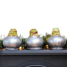 Bloomaker Silver Waxed Amaryllis Trio, No Water Needed