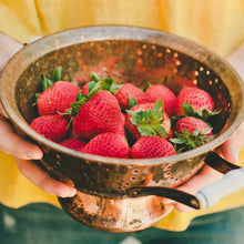 Bonnie-Plants-Strawberry-Live-Pl2 - Brands For Less USA
