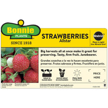 Bonnie-Plants-Strawberry-Live-Pl6 - Brands For Less USA