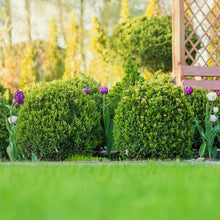 BoxwoodCollection_3-pack4 - Brands For Less USA