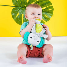 BrightStartsSnuggle-TeethePlushTeether-Elephant-Unisex-AgesNewborn-2-_5 - Brands For Less USA