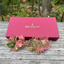 Brook 37 Giftbox Luminaire Loose Leaf Tea Collection, 4 Tin Pack, 5 oz. Total - Brands For Less USA