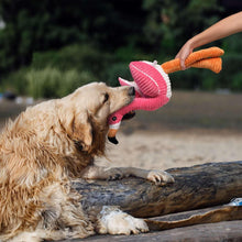 BuddyBuddyFlamingoLongRopeDogToy2-_2 - Brands For Less USA