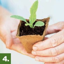 Burpee-Eco-Friendly-Natural-Orga11 - Brands For Less USA