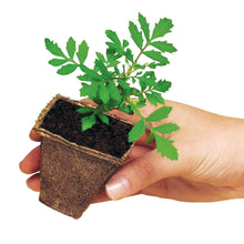 Burpee-Eco-Friendly-Natural-Orga2 - Brands For Less USA