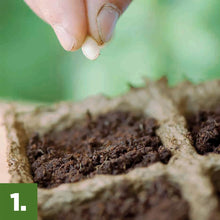 Burpee-Eco-Friendly-Natural-Orga8 - Brands For Less USA