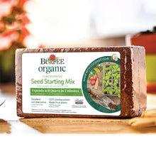 Burpee-Organic-Concentrated-Seed2 - Brands For Less USA