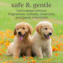 Burt-sBees-OatmealDogShampoo-32fl-oz-2pk-3-5e47cc0a-07d3-4c79-ad14-8ea0d1ab70cf-_17 - Brands For Less USA