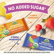 Cascadian Farm Fruit Bars Mixed Berry & Tropical Fruit Variety Pack 0.71 oz., 26 pk.