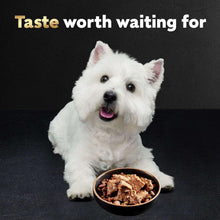 CesarClassicLoafinSauceWetDogFoodVarietyPack-3-5oz-48ct-2-_8 - Brands For Less USA