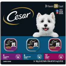 CesarFiletsInGravyVarietyPackWetDogFoodForAdultDogs_3.5OzTray_24Pack - Brands For Less USA