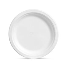 ChinetClassicDinnerPaperPlates_10.375_165ct.4 - Brands For Less USA
