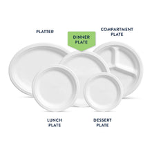 ChinetClassicDinnerPaperPlates_10.375_165ct.5 - Brands For Less USA