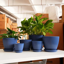 Clearance-Flower-Pots-Indoor-Thicken-Planter-Hole-Tray-House-Plants-Reliable-Plastic-Ripple-Pattern-Flowerpot-Home-Garden-Housewares-Dark-Blue-9-8CM_b8982dcb-a1ef-4a2f-afe2-9fd8d2e2a3 - Brands For Less USA