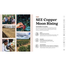 Copper Moon Coffee Medium Roast Ground Coffee, Hawaiian Hazelnut, 40 oz.