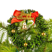 Costa Farms Decorated Norfolk Island Pine Live Christmas Tree, Houseplant in Decor Cover, 2-pack