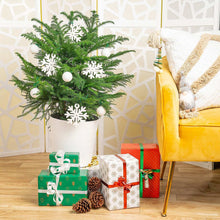 Costa Farms Norfolk Island Pine Decorated Christmas Tree, Houseplant in Decor Planter