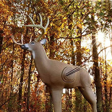 CrossbowShooterBuck3-DTarget_SpecialHigh3 - Brands For Less USA