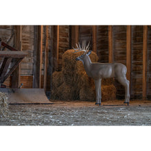 CrossbowShooterBuck3-DTarget_SpecialHigh5 - Brands For Less USA
