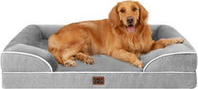 DOGBED - Brands For Less USA