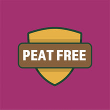 EXPERT-GARDENER-ORGANIC-RAISED-B4 - Brands For Less USA