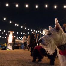 EcoScapes36_LEDShatterproofCafeStringLights_18Bulbs5 - Brands For Less USA
