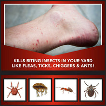 Eliminator-Ant-Flea-Tick-Killer2_aec47ebf-a2f6-4217-822d-d56a239913ab - Brands For Less USA