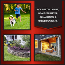 Eliminator-Ant-Flea-Tick-Killer4_5e0882c4-9d18-4937-a672-267361017e35 - Brands For Less USA
