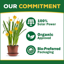 Espoma-Organic-Holly-Tone-for-Ev6 - Brands For Less USA
