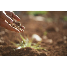 Espoma Organic Soil Acidifier, 6 lb Bag – Lowers Soil pH for Hydrangeas, Blueberries, Azaleas & Acid-Loving Plants - Brands For Less USA