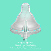 Evenflo Balance + Standard Neck Plastic Baby Bottles, Clear, BPA-Free, 9 oz