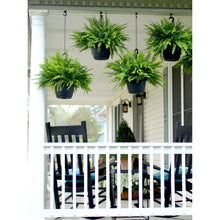 Expert-Gardener-1-5Gal-Green-Bos3 - Brands For Less USA