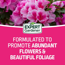Expert-Gardener-Azalea-Camellia4 - Brands For Less USA