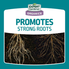 Expert-Gardener-Bone-Meal-Plant5 - Brands For Less USA