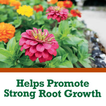 Expert-Gardener-Garden-Soil-for1_25b934c2-bacd-4573-97a0-45c3800be8a7 - Brands For Less USA