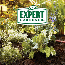 Expert-Gardener-Garden-Soil-for6_bb32ba58-15f3-4fe4-bda7-cea10a8f19c3 - Brands For Less USA