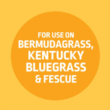 Expert-Gardener-Liquid-Lawn-Food9 - Brands For Less USA