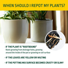 Expert-Gardener-Potting-Mix-for7_c1416b33-23fe-4b57-866c-ad6f0a2ac9b2 - Brands For Less USA