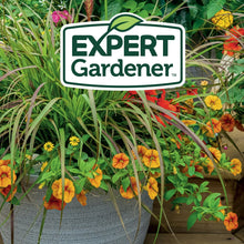 Expert-Gardener-Potting-Mix-for8_37326405-91bf-449e-86fc-bef621292b15 - Brands For Less USA