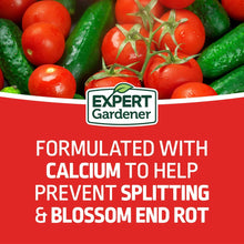 Expert-Gardener-Tomato-Vegetable4_d6528512-fb55-4b75-85be-54a976d23426 - Brands For Less USA