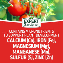 Expert-Gardener-Tomato-Vegetable5_63708d8a-0cd3-4539-9a4f-91bcfa3ddde9 - Brands For Less USA