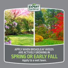 Expert-Gardener-Weed-Feed-Plus-C8 - Brands For Less USA