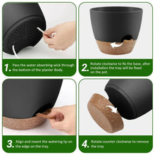 FOUKUS-Set-5-Self-Watering-Plant1_5b0aeb58-f493-4e1d-a234-59980ed8e05a - Brands For Less USA