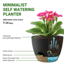 FOUKUS-Set-5-Self-Watering-Plant3_db8921bc-a65c-4edc-aeaa-e46ccb9f1f72 - Brands For Less USA