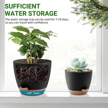 FOUKUS-Set-5-Self-Watering-Plant4_f8ebe941-47ab-4060-b509-c750e96fe012 - Brands For Less USA