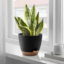 FOUKUS-Set-5-Self-Watering-Plant5_29448a32-f3e0-4c86-bd00-5920c04c9ab3 - Brands For Less USA