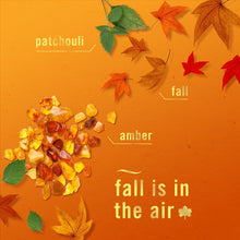 Febreze PLUG Air Freshener, Baked Cinnamon Apples & Crisp Fall Breeze, 1 Warmer + 5 Refills, 4.35 fl. oz.
