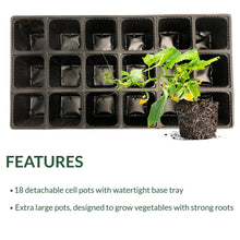 Ferry-Morse Reusable 18 Pot Seed Starting Plastic Tray - Brands For Less USA